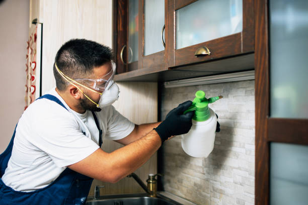 Best Pest Prevention Services  in Vidor, TX